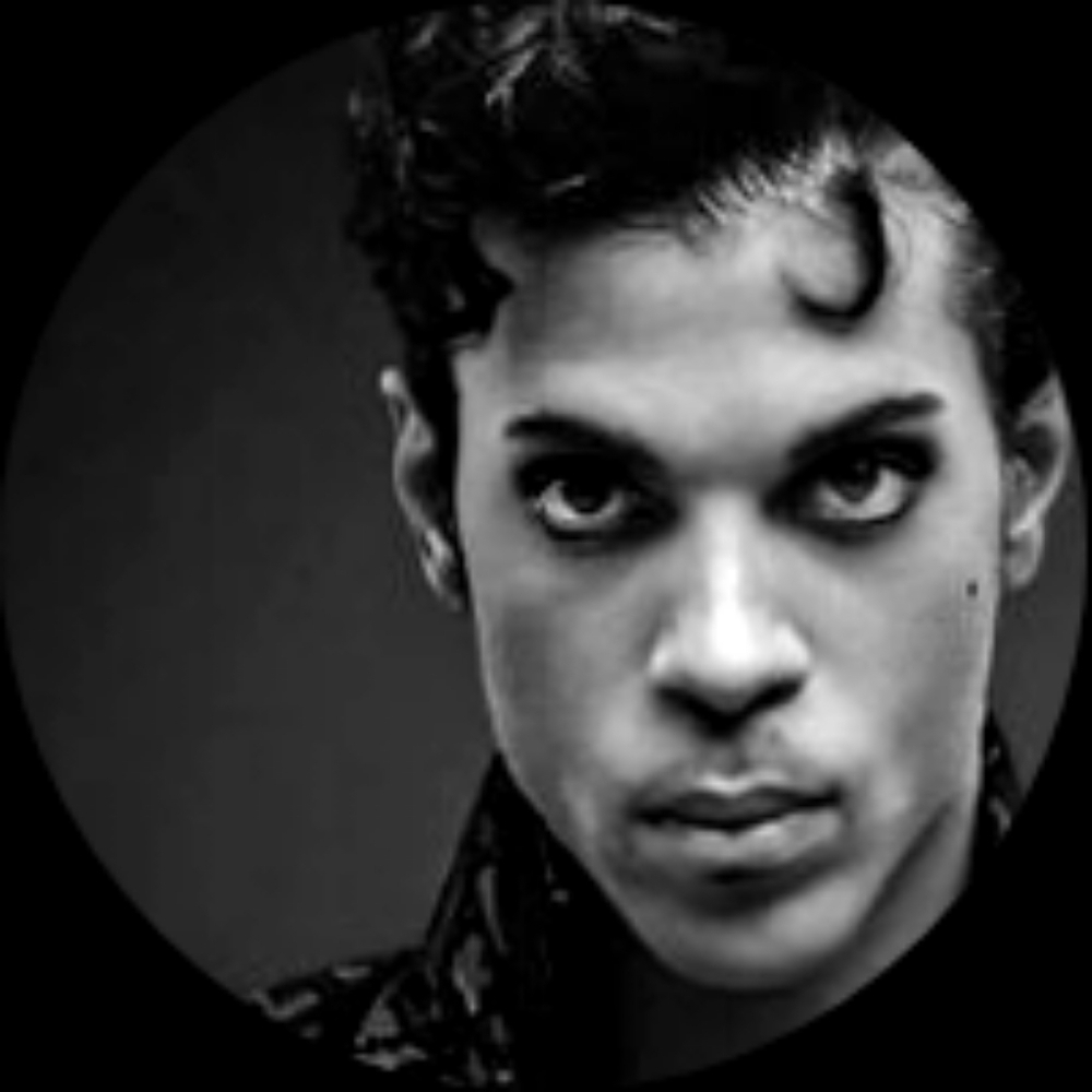 Prince Magnet Set Purple Rain Album - Picture 4 of 4